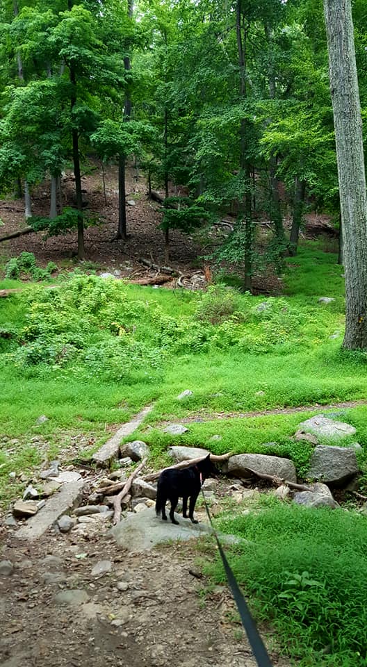 41399542_10156829737430625_2149532240026009600_n