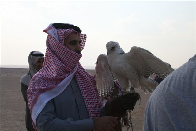 vcm_s_kf_representative_640x426